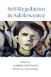 Self-regulation In Adolescence by Gabriele Oettingen, Hardcover | Indigo Chapters