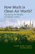 How Much Is Clean Air Worth? by Ari Rabl, Hardcover | Indigo Chapters