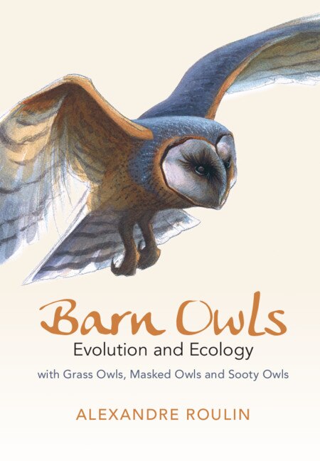 Barn Owls by Alexandre Roulin, Hardcover | Indigo Chapters