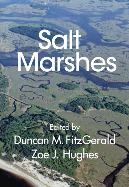 Salt Marshes by Duncan M. Fitzgerald, Hardcover | Indigo Chapters