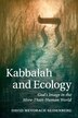 Kabbalah And Ecology by David Mevorach Seidenberg, Paperback | Indigo Chapters