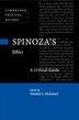 Spinoza's Ethics by Yitzhak Y. Melamed, Paperback | Indigo Chapters