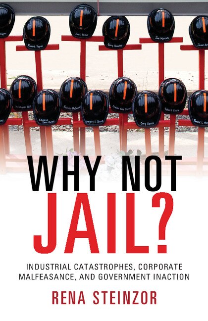 Why Not Jail? by Rena Steinzor, Paperback | Indigo Chapters
