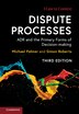 Dispute Processes by MICHAEL PALMER, Paperback | Indigo Chapters