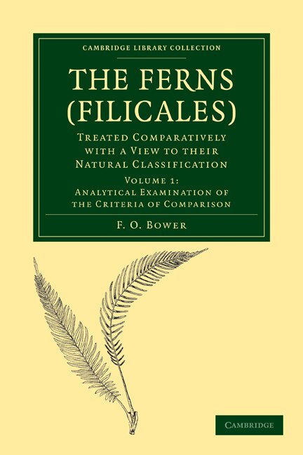 The Ferns (Filicales): Volume 1 Analytical Examination of the Criteria of Comparison by F. O. Bower, Paperback | Indigo Chapters