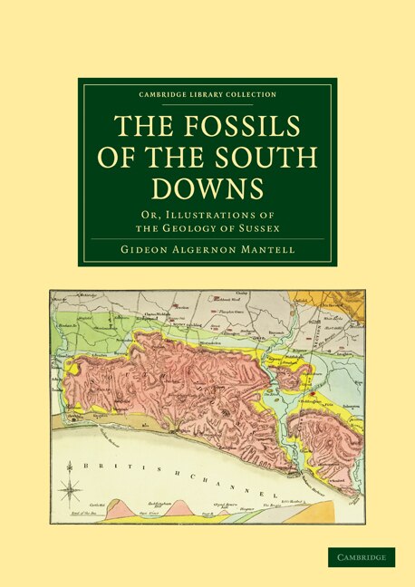 The Fossils of the South Downs by Gideon Algernon Mantell, Paperback | Indigo Chapters