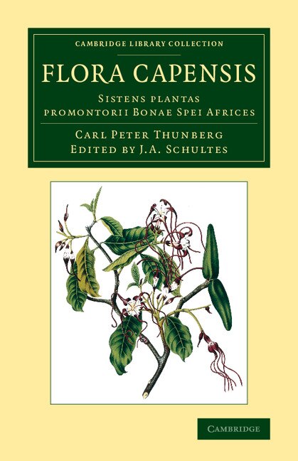 Flora Capensis by Carl Peter Thunberg, Paperback | Indigo Chapters