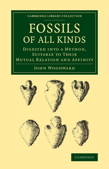 Fossils Of All Kinds by John Woodward, Paperback | Indigo Chapters