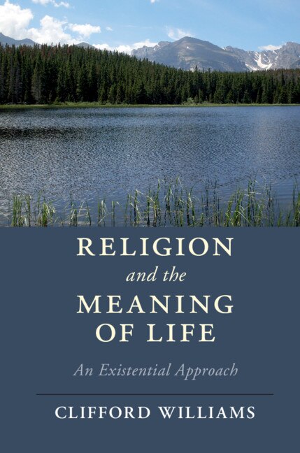 Religion And The Meaning Of Life by Clifford Williams, Hardcover | Indigo Chapters