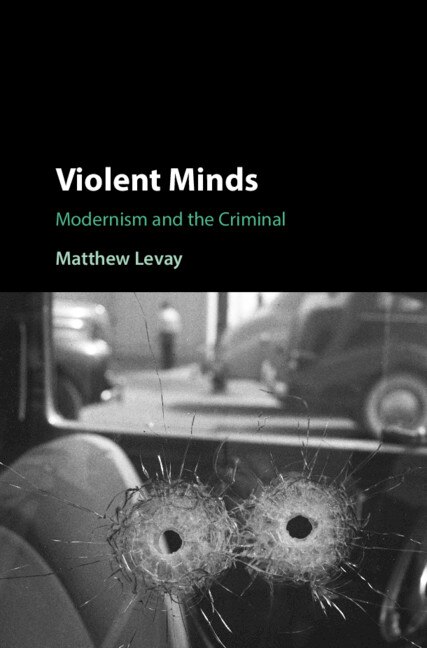 Violent Minds by Matthew Levay, Hardcover | Indigo Chapters