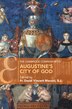 The Cambridge Companion To Augustine's City Of God by Fr. David Vincent Meconi, S.j., Paperback | Indigo Chapters