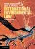International Environmental Law by Pierre-Marie Dupuy, Paperback | Indigo Chapters