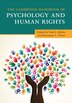 The Cambridge Handbook Of Psychology And Human Rights by Neal S. Rubin, Paperback | Indigo Chapters