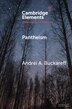 Pantheism by Andrei A. Buckareff, Paperback | Indigo Chapters