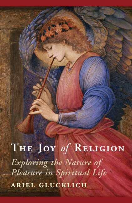 The Joy Of Religion by Ariel Glucklich, Paperback | Indigo Chapters