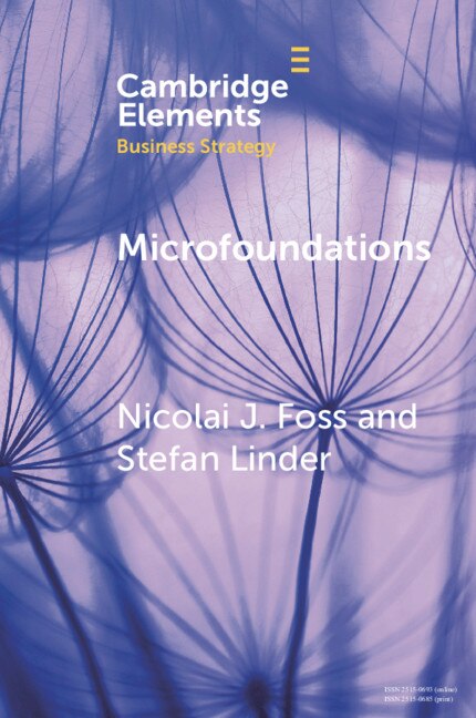 Microfoundations by Nicolai J. Foss, Paperback | Indigo Chapters