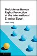 Multi-actor Human Rights Protection At The International Criminal Court by Emma Irving, Hardcover | Indigo Chapters
