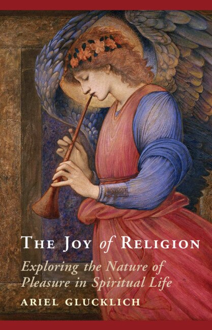 The Joy Of Religion by Ariel Glucklich, Hardcover | Indigo Chapters