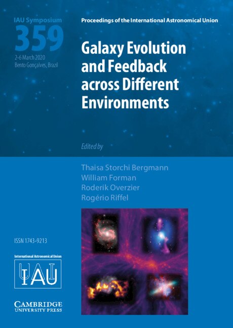 Galaxy Evolution And Feedback Across Different Environments (iau S359) by Thaisa Storchi Bergmann, Hardcover | Indigo Chapters