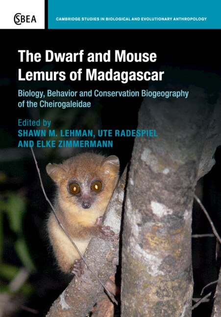 The Dwarf And Mouse Lemurs Of Madagascar by Shawn M. Lehman, Paperback | Indigo Chapters