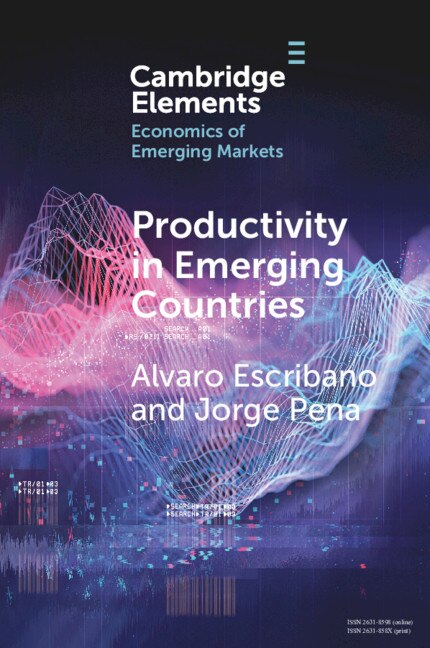 Productivity In Emerging Countries by Alvaro Escribano, Paperback | Indigo Chapters