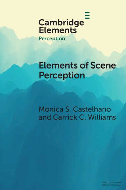 Elements of Scene Perception by Monica S. Castelhano, Paperback | Indigo Chapters