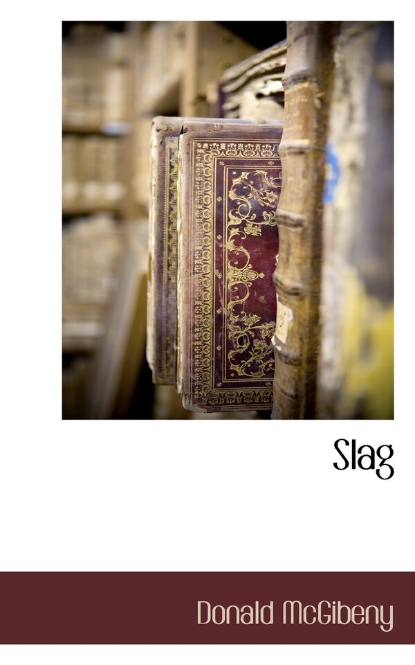 Slag by Donald McGibeny, Paperback | Indigo Chapters