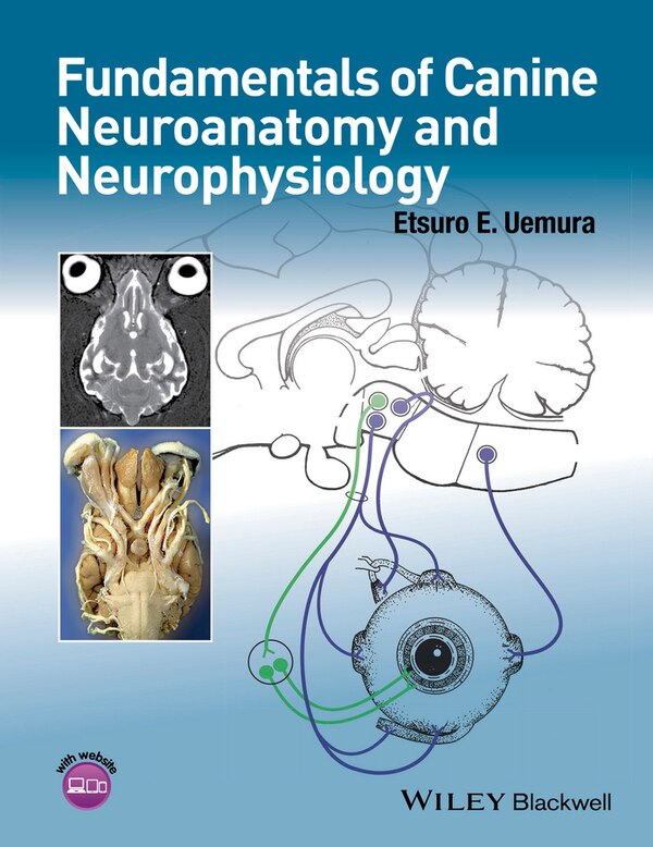 Fundamentals of Canine Neuroanatomy and Neurophysiology by Etsuro E. Uemura, Paperback | Indigo Chapters