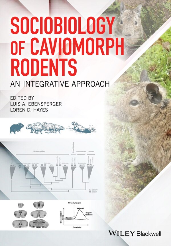 Sociobiology of Caviomorph Rodents by Luis A. Ebensperger, Hardcover | Indigo Chapters