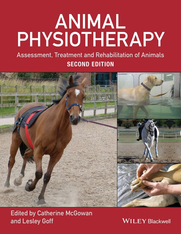 Animal Physiotherapy by Lesley Goff, Paperback | Indigo Chapters