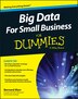 Big Data For Small Business For Dummies by Bernard Marr, Paperback | Indigo Chapters