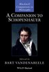 A Companion to Schopenhauer by Bart Vandenabeele, Paperback | Indigo Chapters