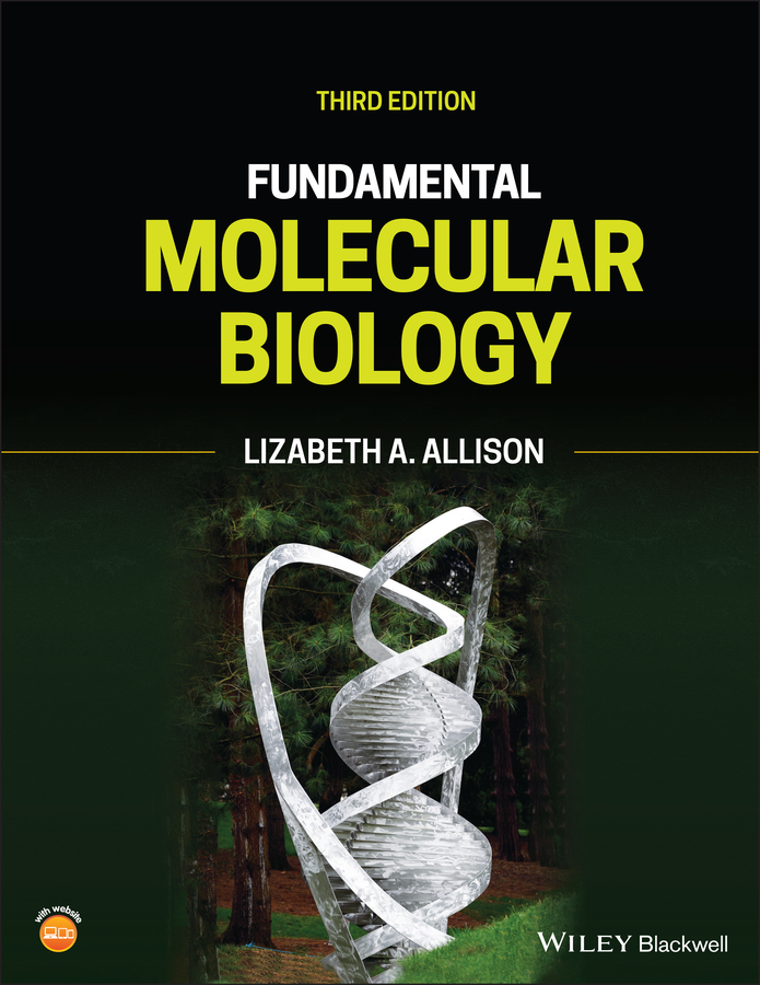 Fundamental Molecular Biology by Lizabeth A. Allison, Hardcover | Indigo Chapters