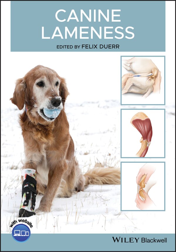 Canine Lameness by Felix Duerr, Paperback | Indigo Chapters