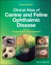 Clinical Atlas Of Canine And Feline Ophthalmic Disease by Sara Calvarese, Hardcover | Indigo Chapters