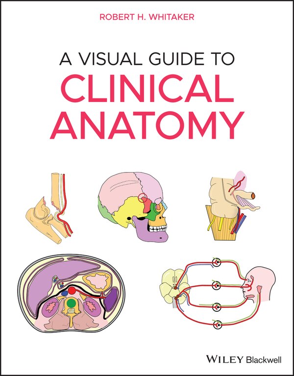 A Visual Guide To Clinical Anatomy by Robert H. Whitaker, Paperback | Indigo Chapters