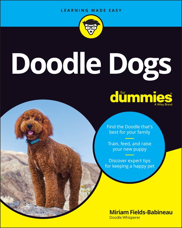 Doodle Dogs For Dummies by Miriam Fields-Babineau, Paperback | Indigo Chapters