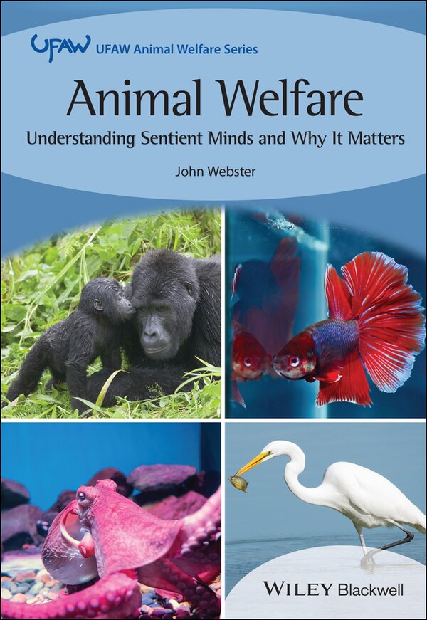 Animal Welfare by John Webster, Paperback | Indigo Chapters