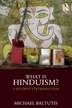 What is Hinduism? by Michael Baltutis, Paperback | Indigo Chapters