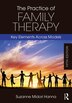 The Practice Of Family Therapy by Suzanne Midori Hanna, Paperback | Indigo Chapters