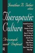 Therapeutic Culture by Donileen Loseke, Hardcover | Indigo Chapters