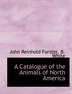 A Catalogue of the Animals of North America by John Reinhold Forster, Paperback | Indigo Chapters