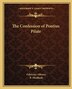The Confession of Pontius Pilate by Fabricius Albinus, Paperback | Indigo Chapters