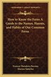 How to Know the Ferns a Guide to the Names Haunts and Habits of Our Common Ferns by Frances Theodora Parsons, Paperback | Indigo Chapters