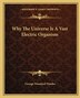 Why The Universe Is A Vast Electric Organism by George Woodard Warder, Paperback | Indigo Chapters