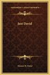 Just David by Eleanor H Porter, Hardcover | Indigo Chapters