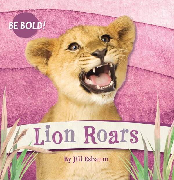 Lion Roars by Jill Esbaum, Board Book | Indigo Chapters