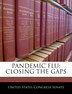 Pandemic Flu by United States Congress Senate, Paperback | Indigo Chapters