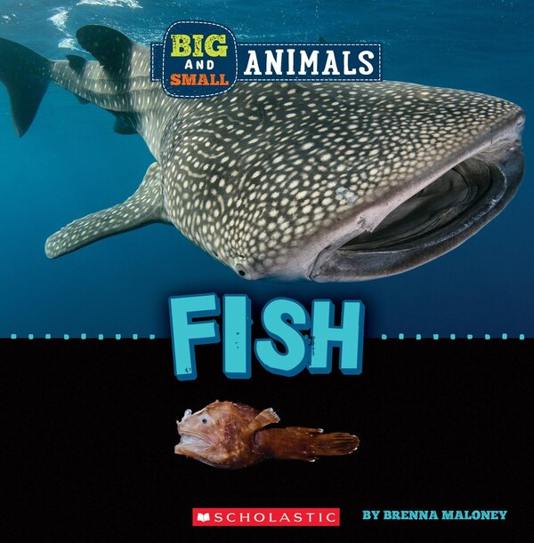 Fish (Wild World: Big and Small Animals) by Brenna Maloney, Hardcover | Indigo Chapters