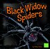 Black Widow Spiders by Molly Kolpin, Hardcover | Indigo Chapters